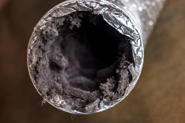 Best Air Vent Cleaning Services  in Adelanto, CA